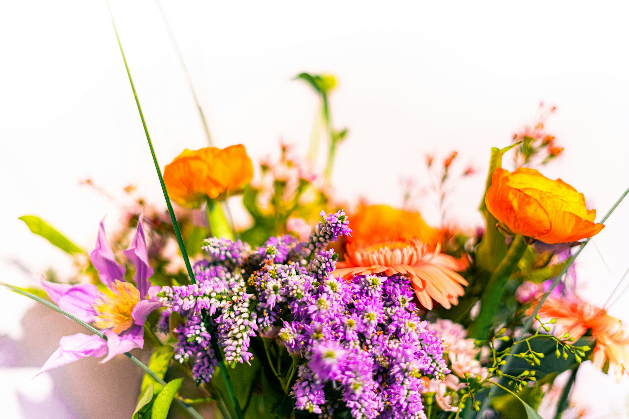 flower care while traveling 