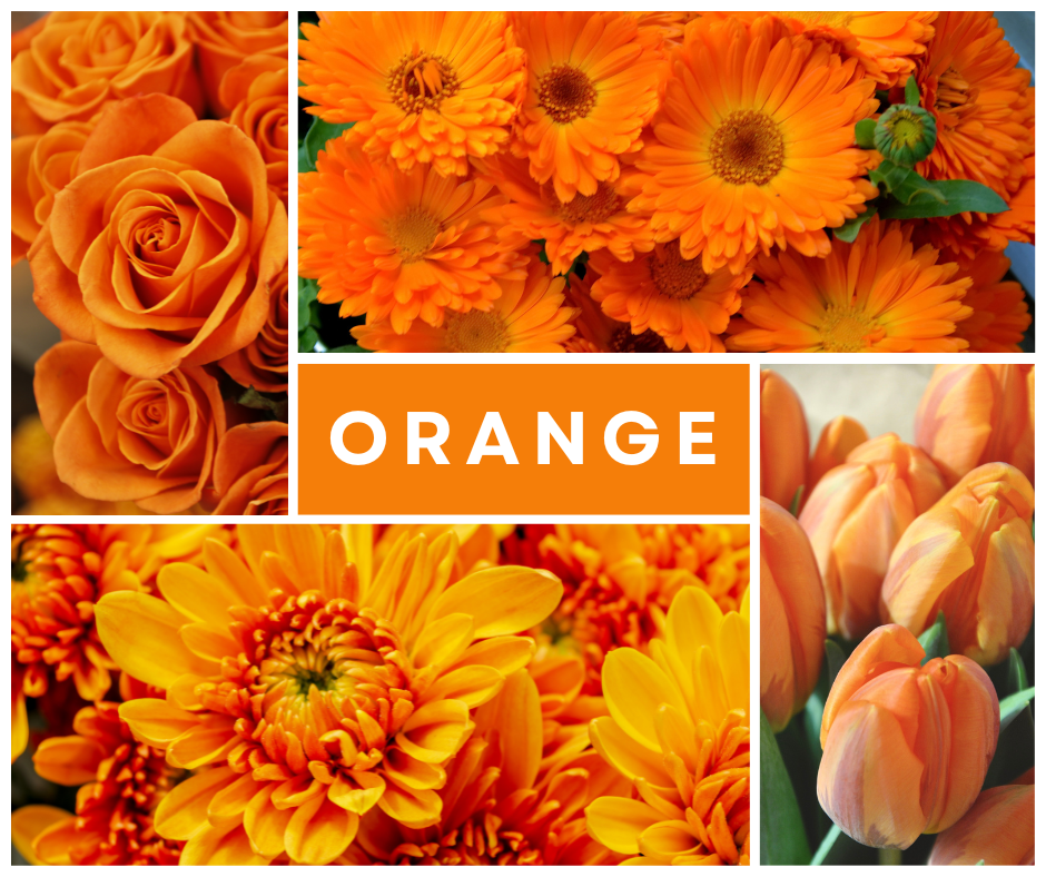 what does orange flowers say about you