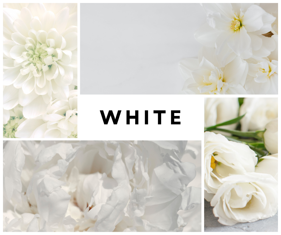 what does white flowers say about you