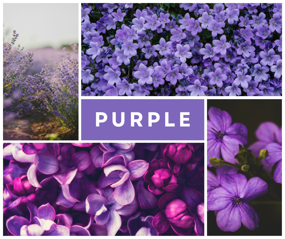 what does purple flowers mean about you