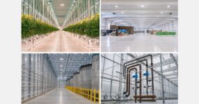 150 acres of greenhouse projects delivered, and strong outlook for 2026