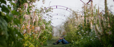 The Floret Farm Journal: June 2025