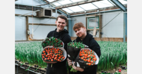 Decorum launches new video campaign ‘Grower for a Day’