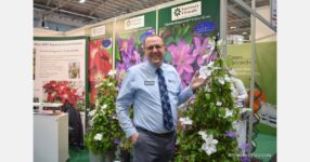 Raymond Evison Clematis unveils three new cultivars at IPM Essen 2026