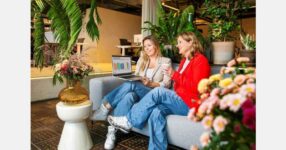 ‘Storecheck helps us make chrysanthemums more appealing’