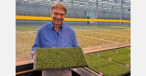 Schneider Youngplants updates its German sales team