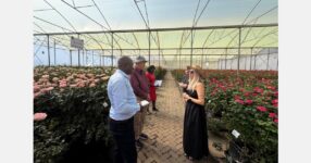 Fostering innovation at annual United Selections Open Days