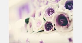 Smithers-Oasis responds to upcoming Church of England motion to ban floral foam