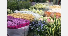 Flowers 15% more expensive this year ahead of Valentine’s Day