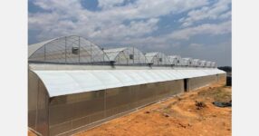Appropriate greenhouse design for African growing conditions