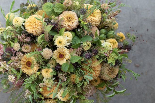 A close up of a bouquet with zinnia blooms in shades of yellow, peach, and blush.