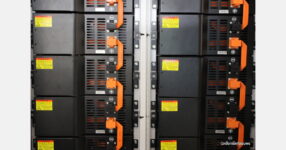 Horticulture plays an important role in testing techniques for energy storage