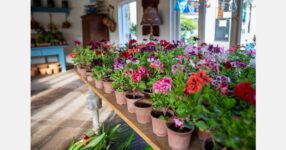 Family Farms acquires Phoenix Flower Shops