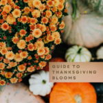 Guide to Thanksgiving Blooms – SnapBlooms Blogs