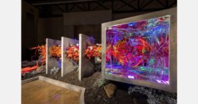 Award winners announced for 2026 PHS Philadelphia Flower Show