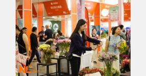 The cornerstone of innovation and industry growth