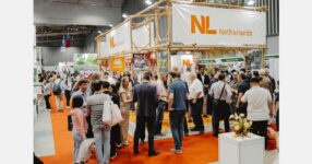 Southeast Asia: A strategic growth market