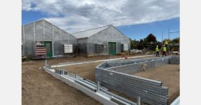 Retrofit or rebuild? How to decide for your greenhouse
