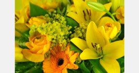 Rawalpindi florists hit hard as prices surge