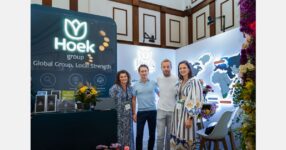 “Direct supply means fresher flowers and better prices”