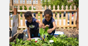 Scientists and students research plants together