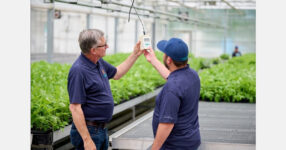 The best systems give growers the control they want without making the technology complicated